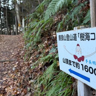 手長神様にあやかり、手袋をぶらぶらさせて手長な気分で登る