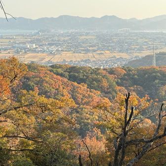 
　今日は 1日 
　秋に 溺れていました

　こんな日も いいかも　(°=°)

　

　おつかれ秋 でした



