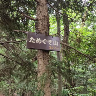 ためぐそ山（327m）
何？この名前？