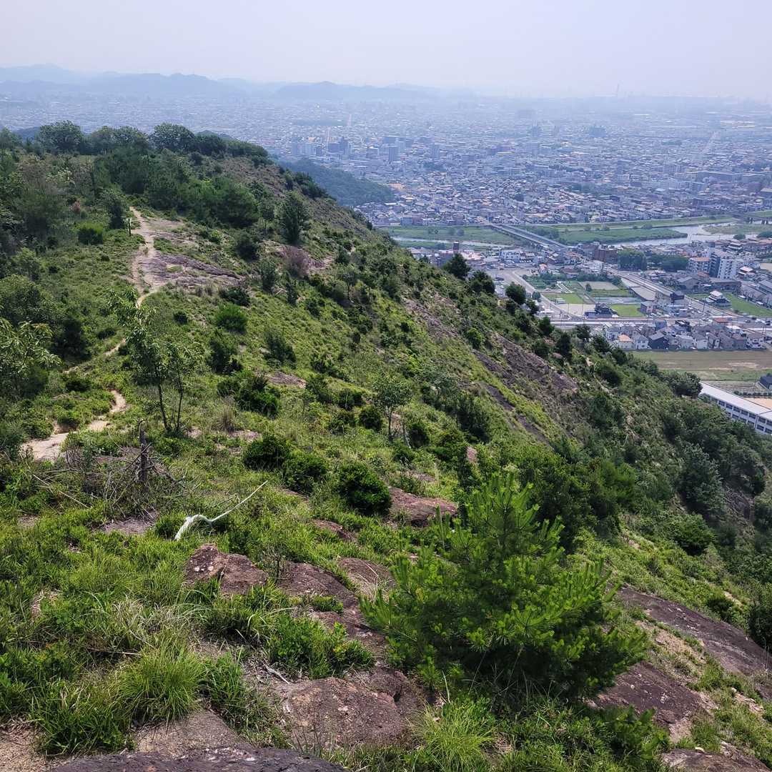 京見山-トンガリ山 往復コースの写真