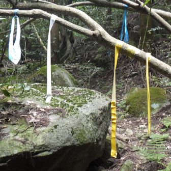 これだけテープがあれば絶対に迷わない