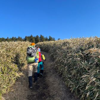 青空！
でも実は強風なの〜〜😅