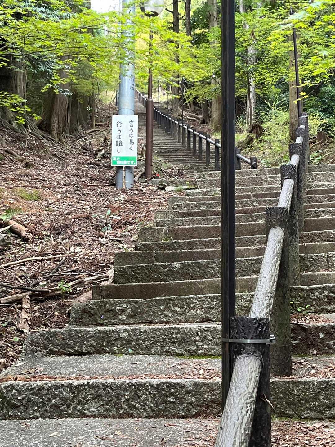 聖宝寺-藤原岳 往復コースの写真