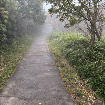 緩やかそうに見える坂ですが、
私にはきつかったです😆