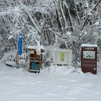 こっから登ります。