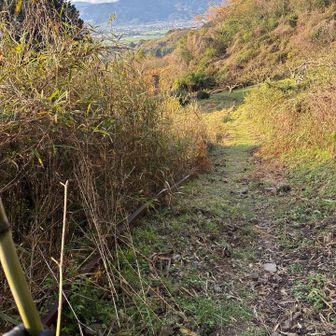 未納の山々みて