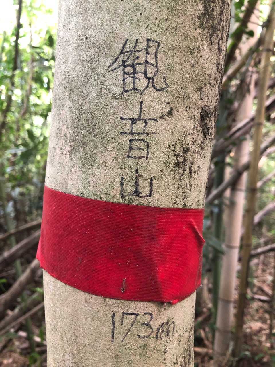 観音山山頂です⛰
まさかの木に掘り込むタイプ💦
初めて見ました👀