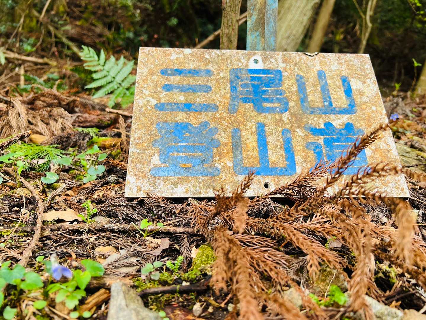 三尾山⛰
どんな雰囲気の山かな？楽しみ~😆🎶
