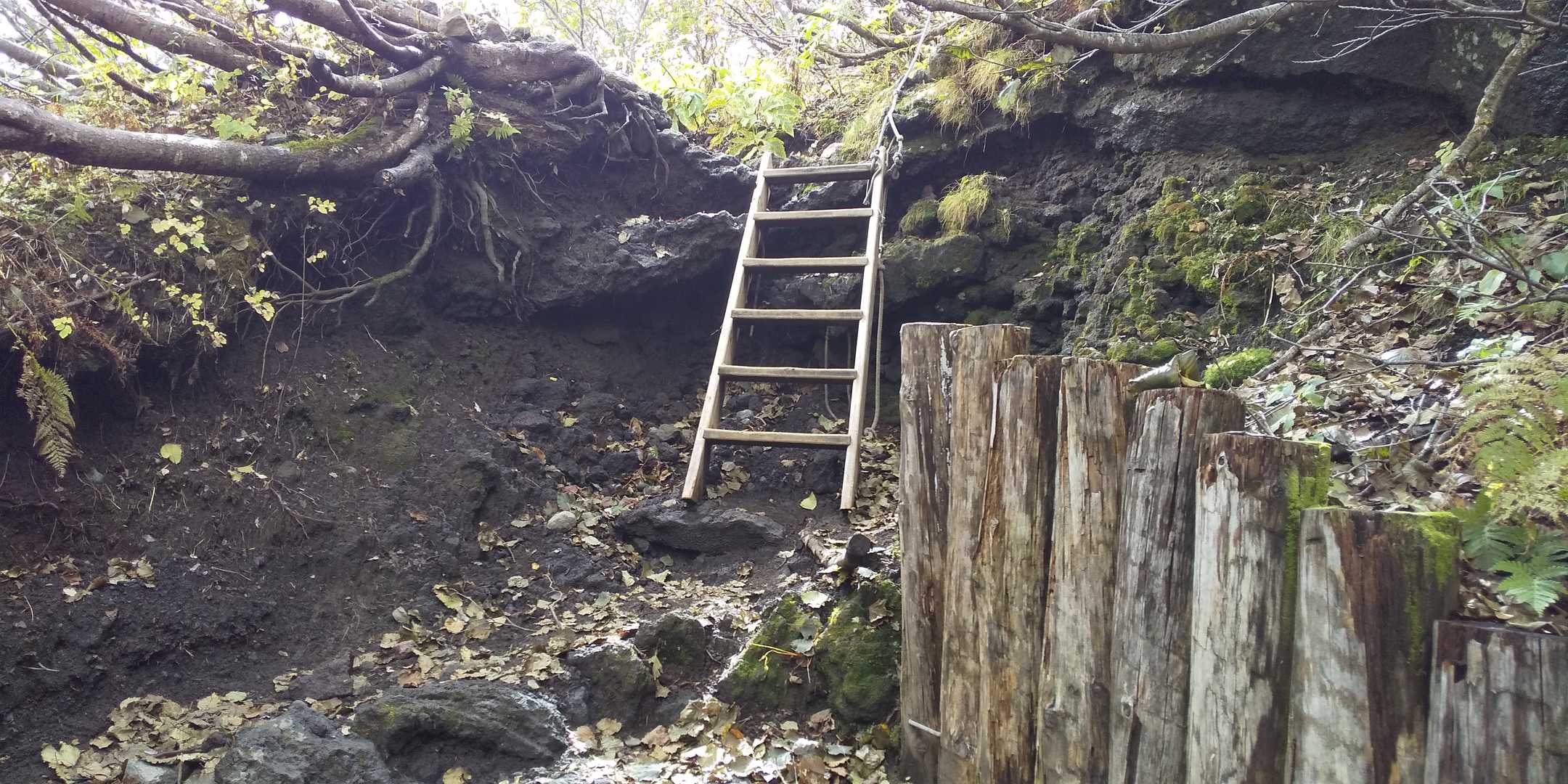 ハシゴ場あり