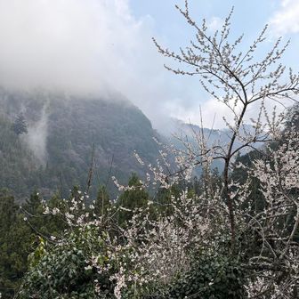 ゴールは間近、今日も安全で無事に歩けましたね！
