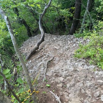 下山するけどまたロープある