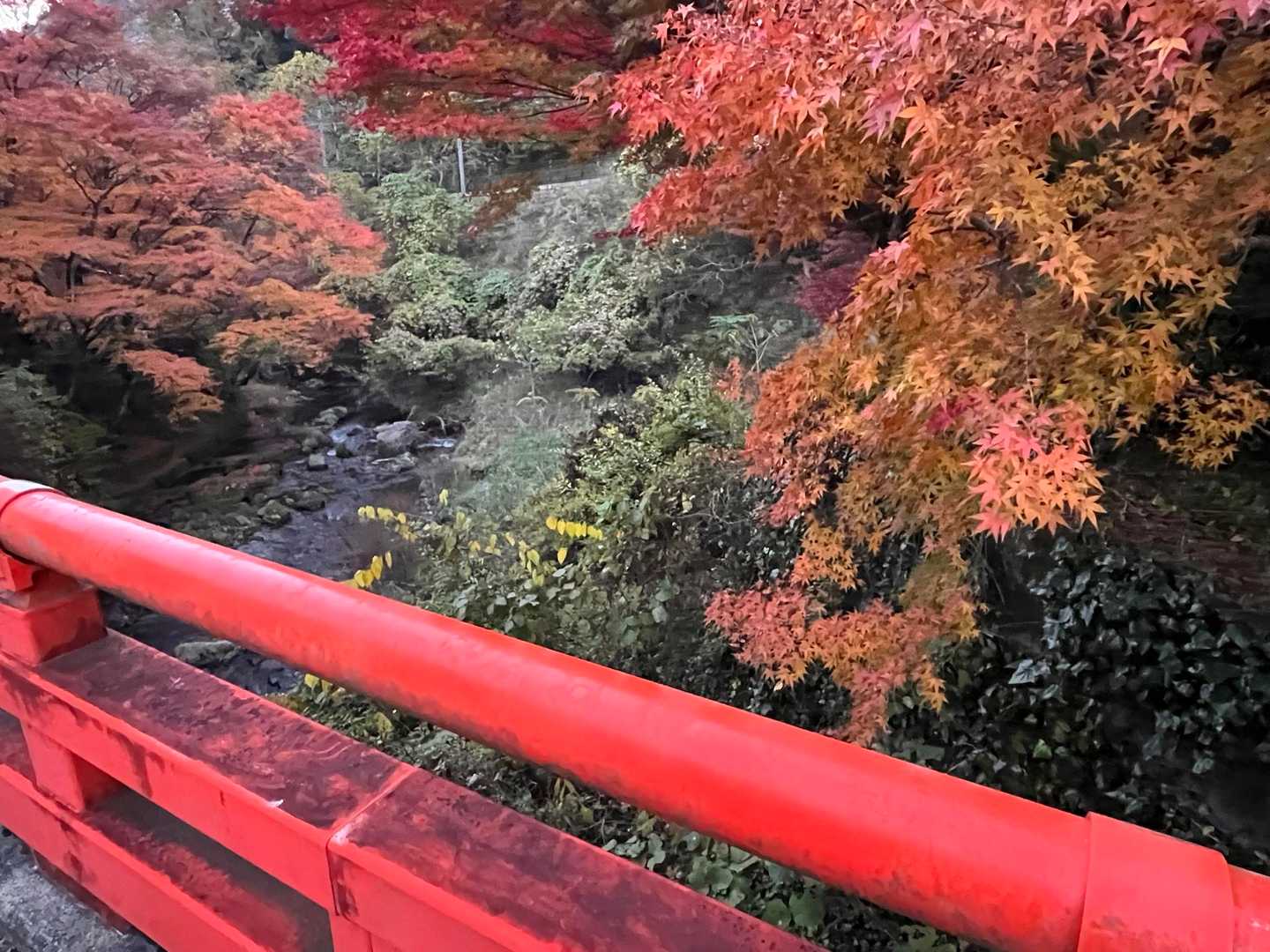 鞍馬駅-山門駅-鞍馬寺-木の根道-鞍馬山-僧正ヶ谷不動堂- 縦走コースの写真