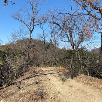 とてもすぐそこに街があるとは思えない山の稜線。