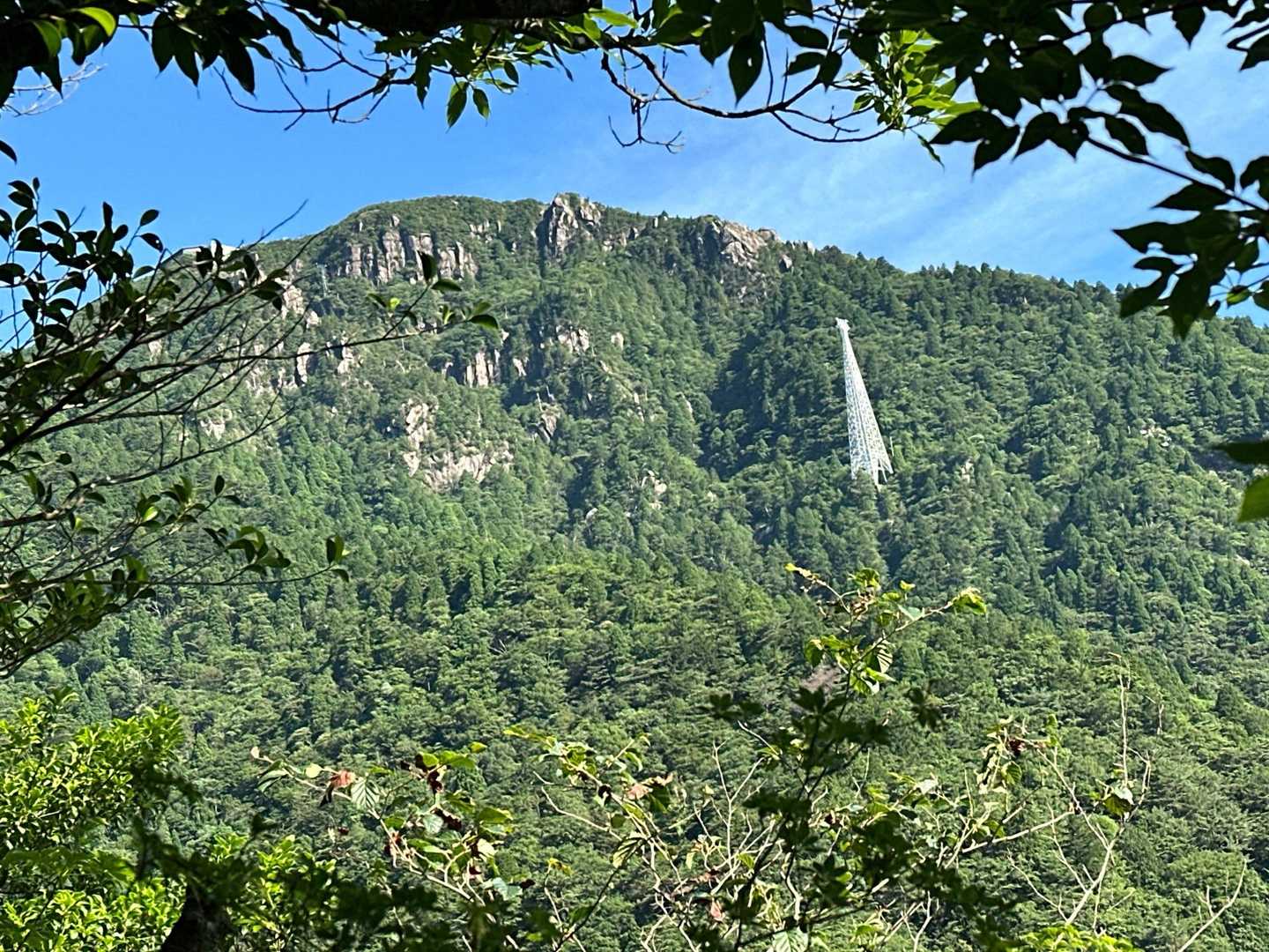 見えてきた✨