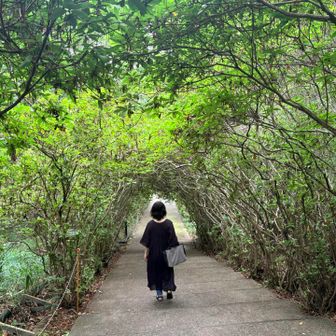 トンネルのような道
