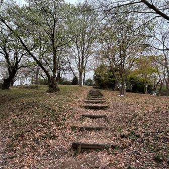 ここだけ公園感