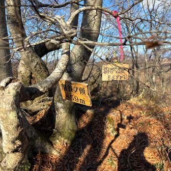 こちらは割谷ノ頭。