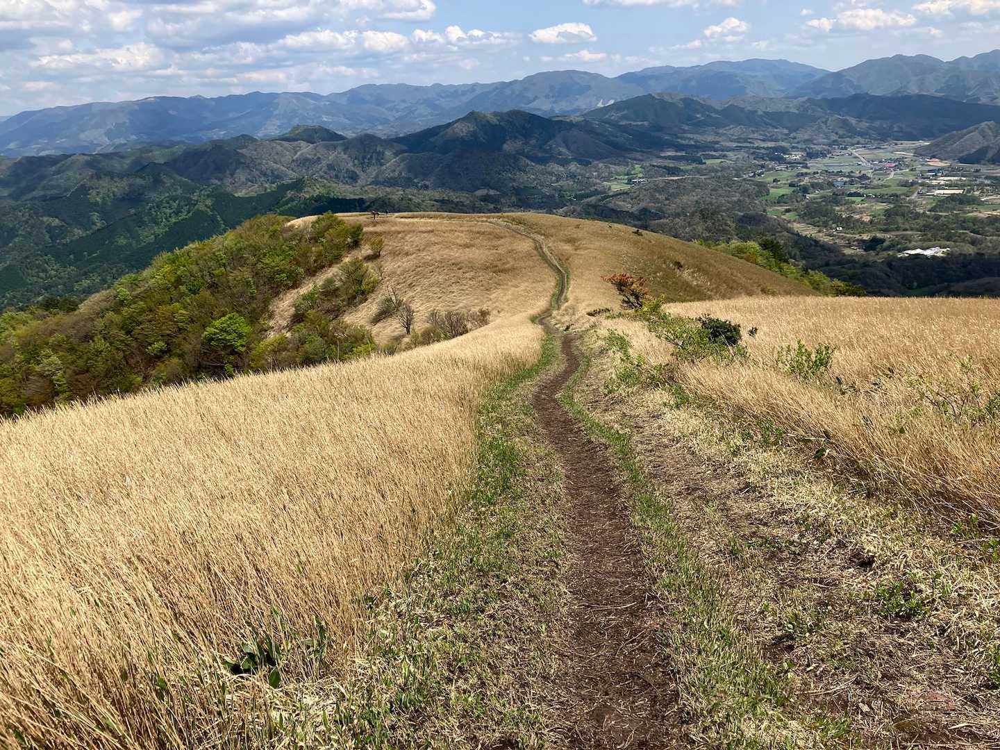 走るつもりでは無かったけど走りたくなる下り道🏃