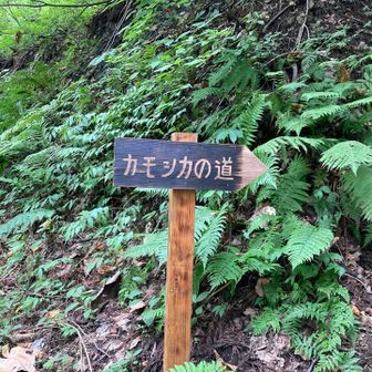 ここから🚶　途中山友さんに会う