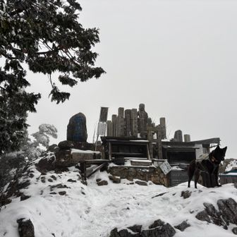 西の覗きもこの程度でした。