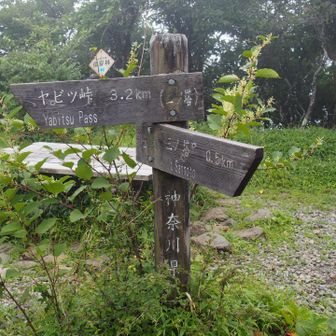 ニノ塔通過して、ニノ塔尾根へ