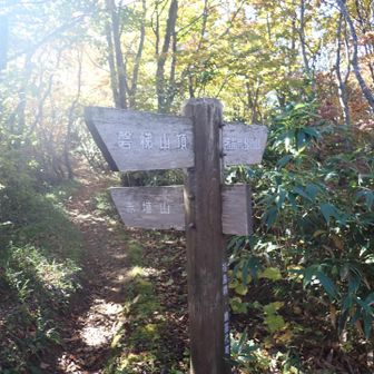 駐車場分岐を通り過ぎ、赤埴山を目指す