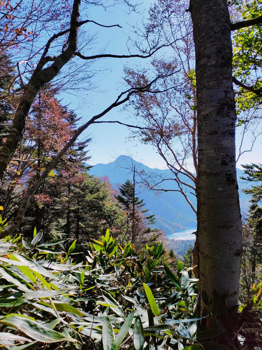 日光白根山を見ても心が嫌にざわつかない。

これが登頂して”日光白根山コンプレックス”を克服した人間の力だ。