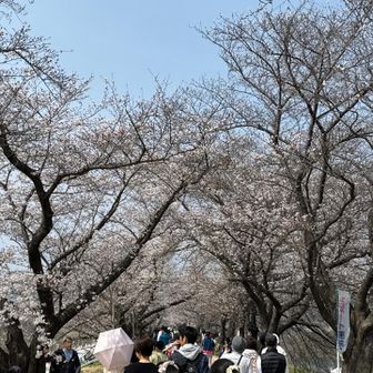 たくさんの人でした