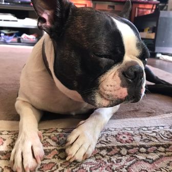 benicio