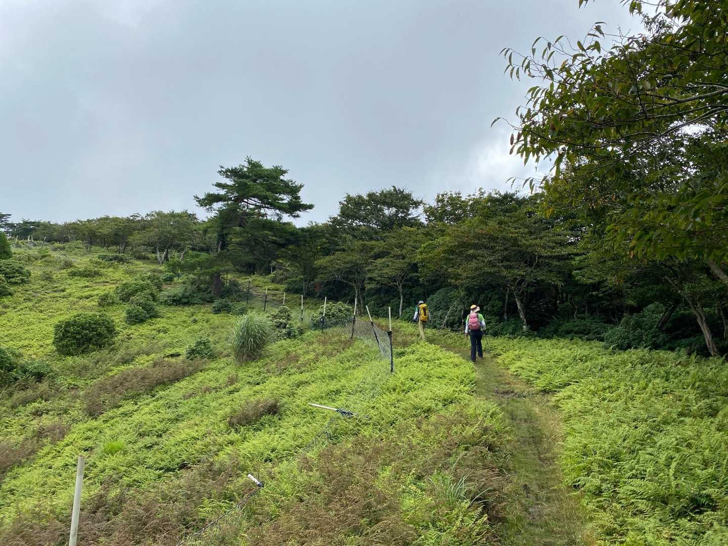 視界が開けてきました✨