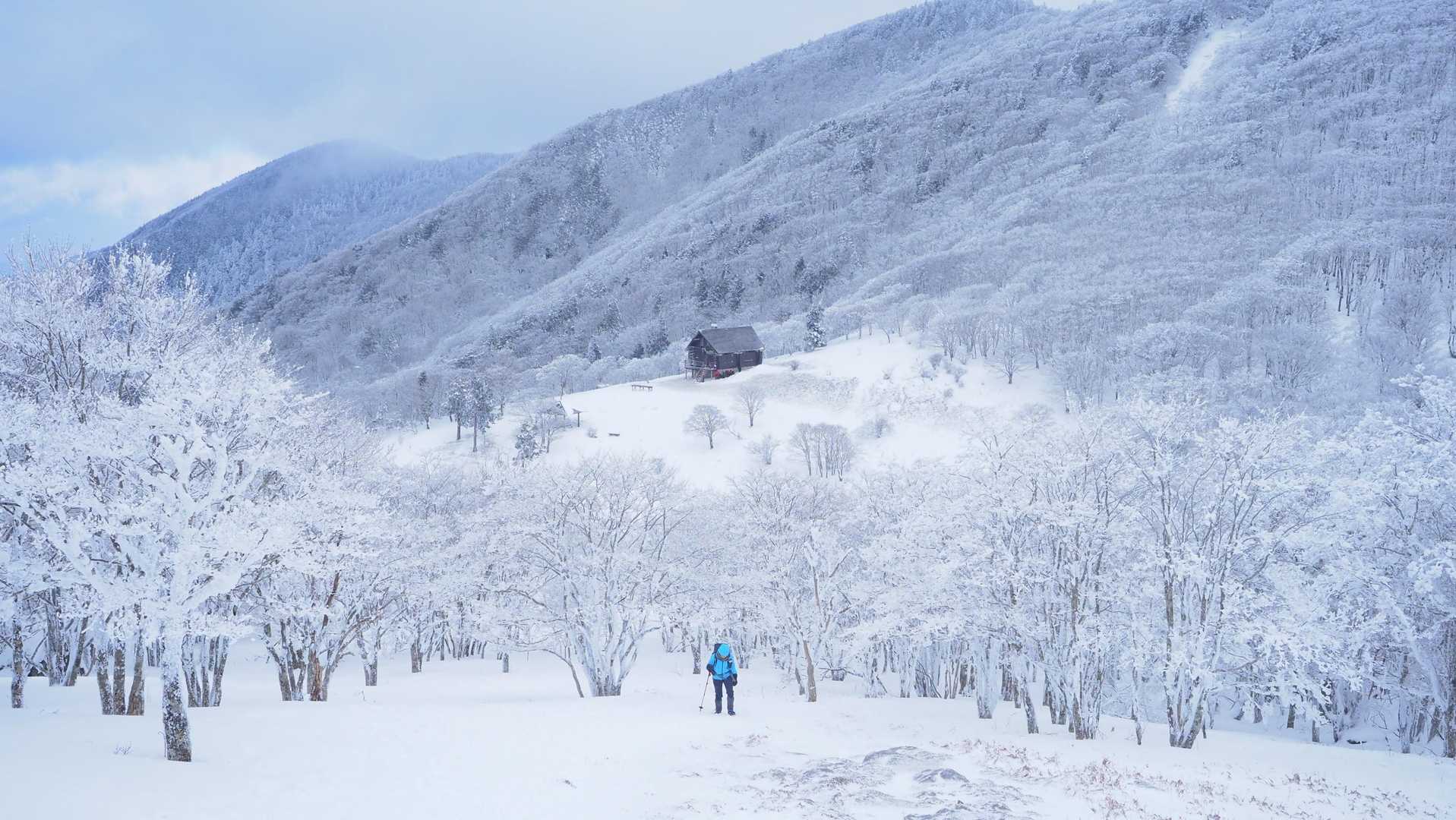お気に入りの一枚。