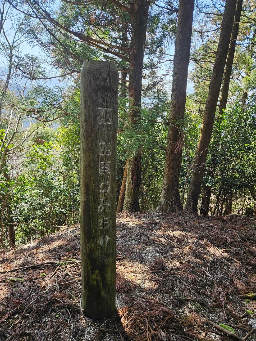 楢原山 往復コースの写真
