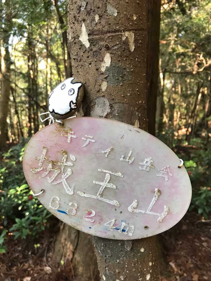 ミン登頂