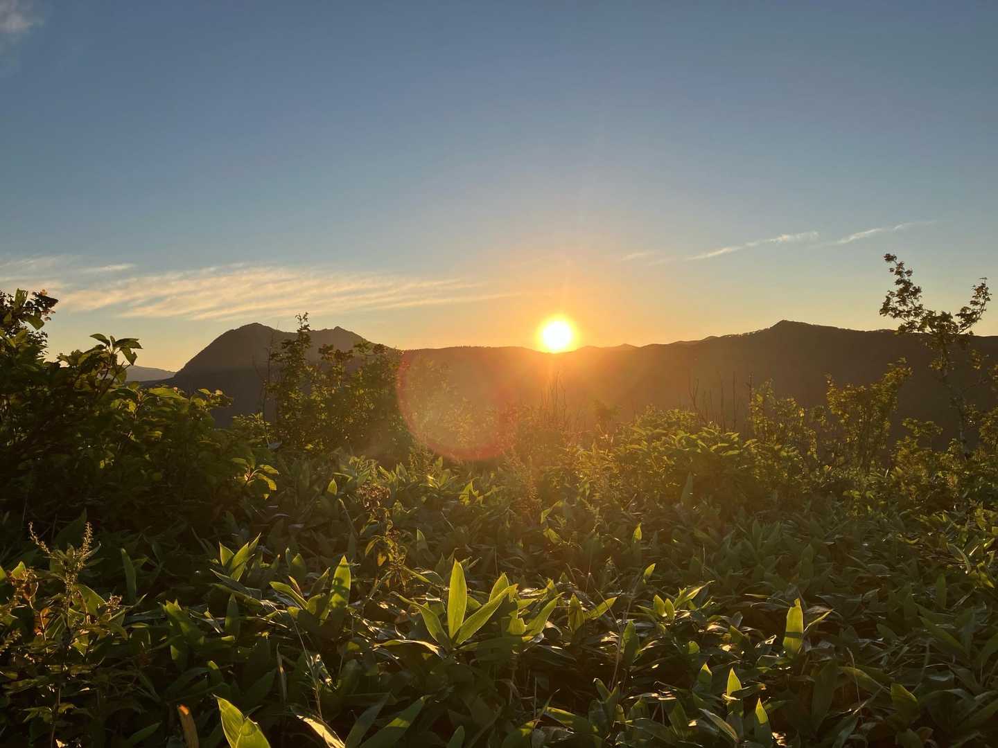 日の出☀️