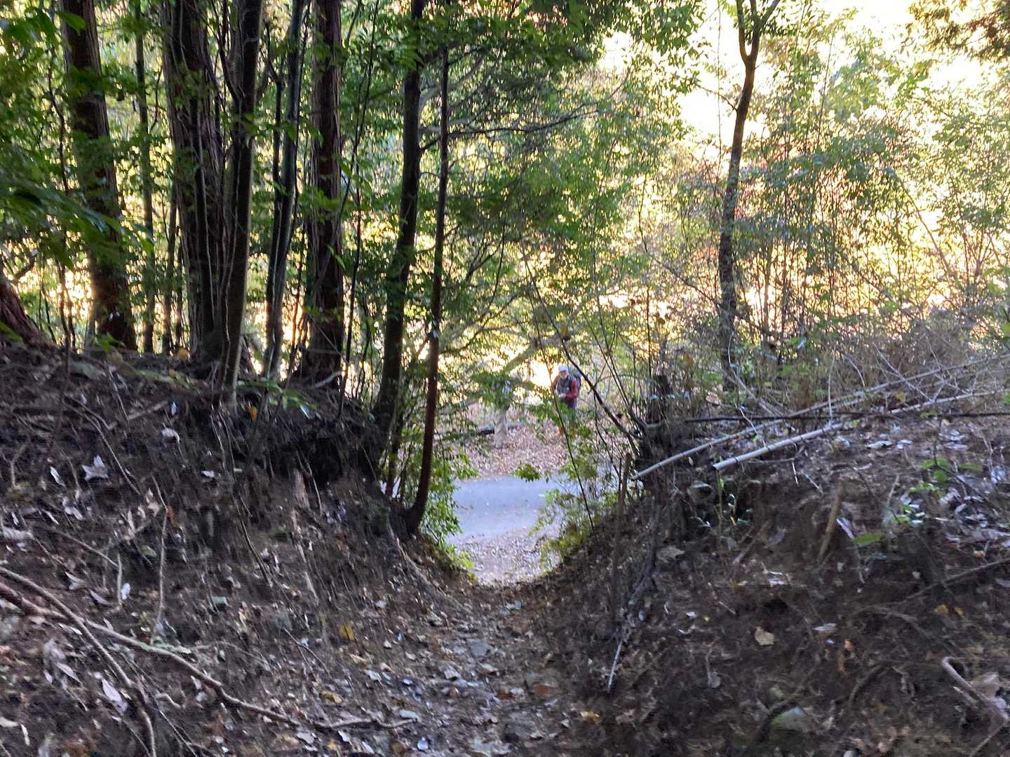 鹿嵐山中央登山口に到着