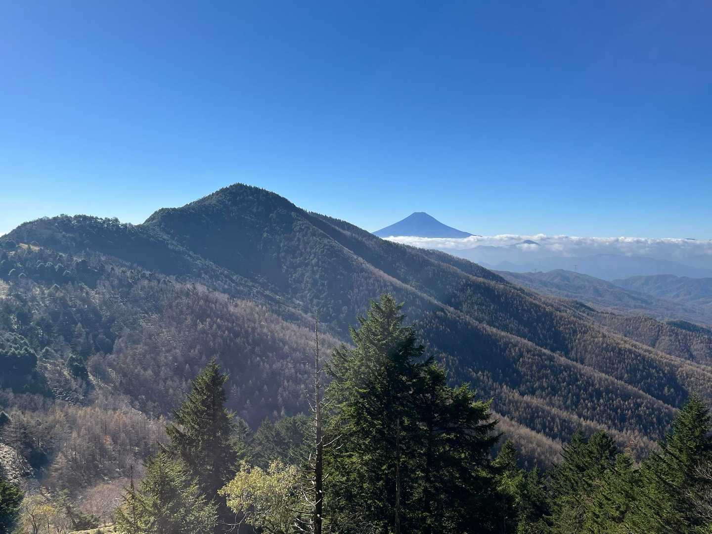 小金沢山と富士山。