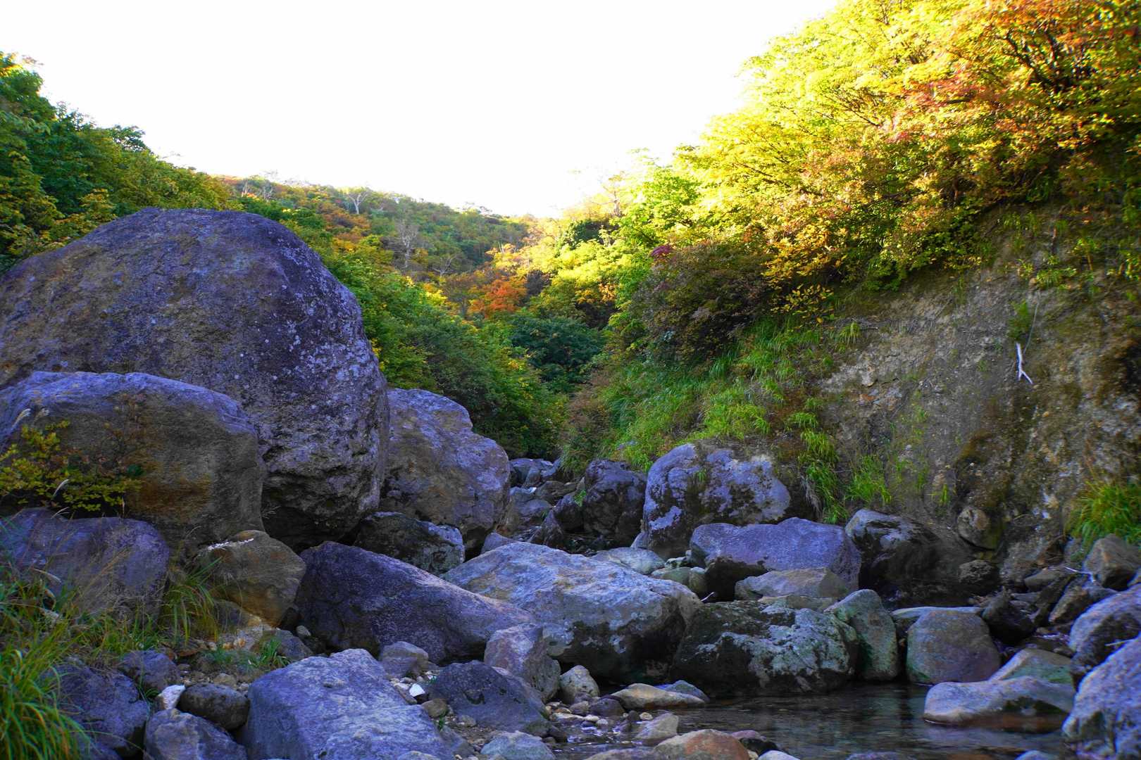 渡渉ヶ所、水は少な目