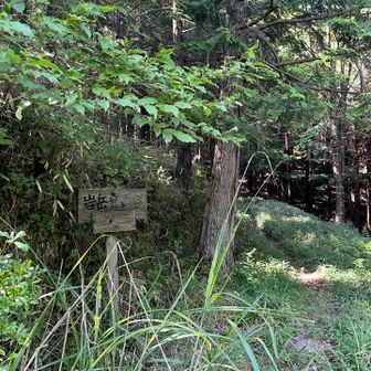 ここから登山道