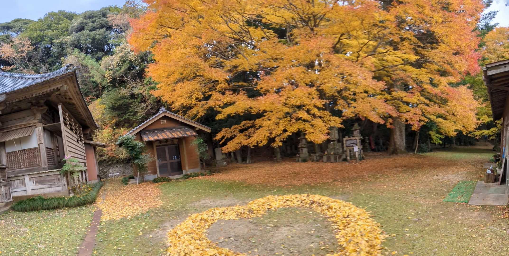 素晴らしい