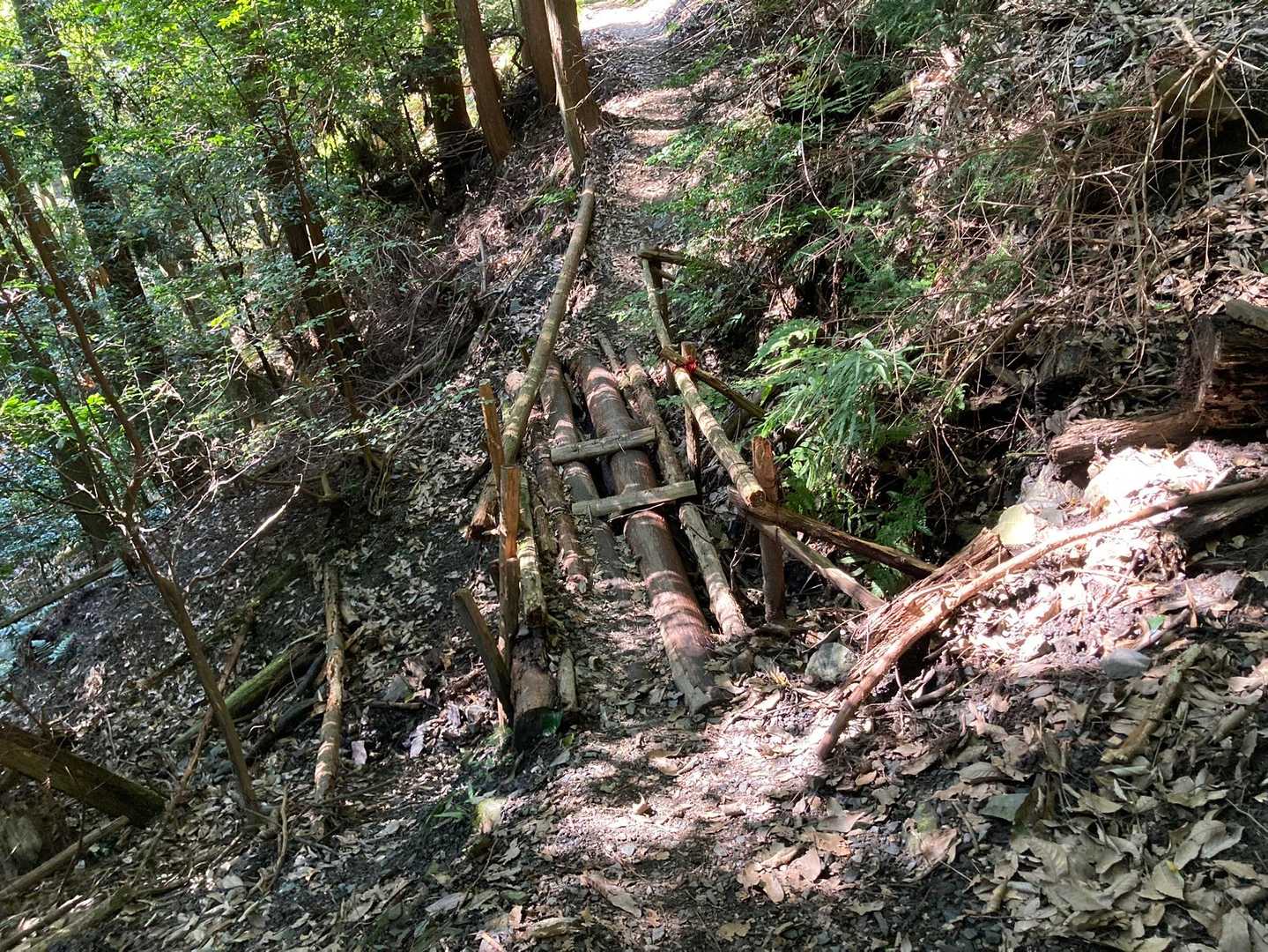 あとは一気に下山するぜ🙂