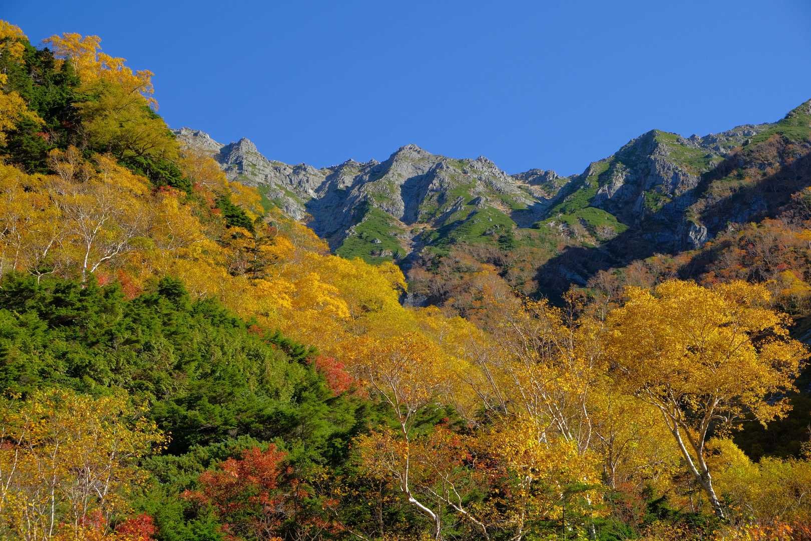 前穂高岳（上高地）＜重太郎新道＞の写真