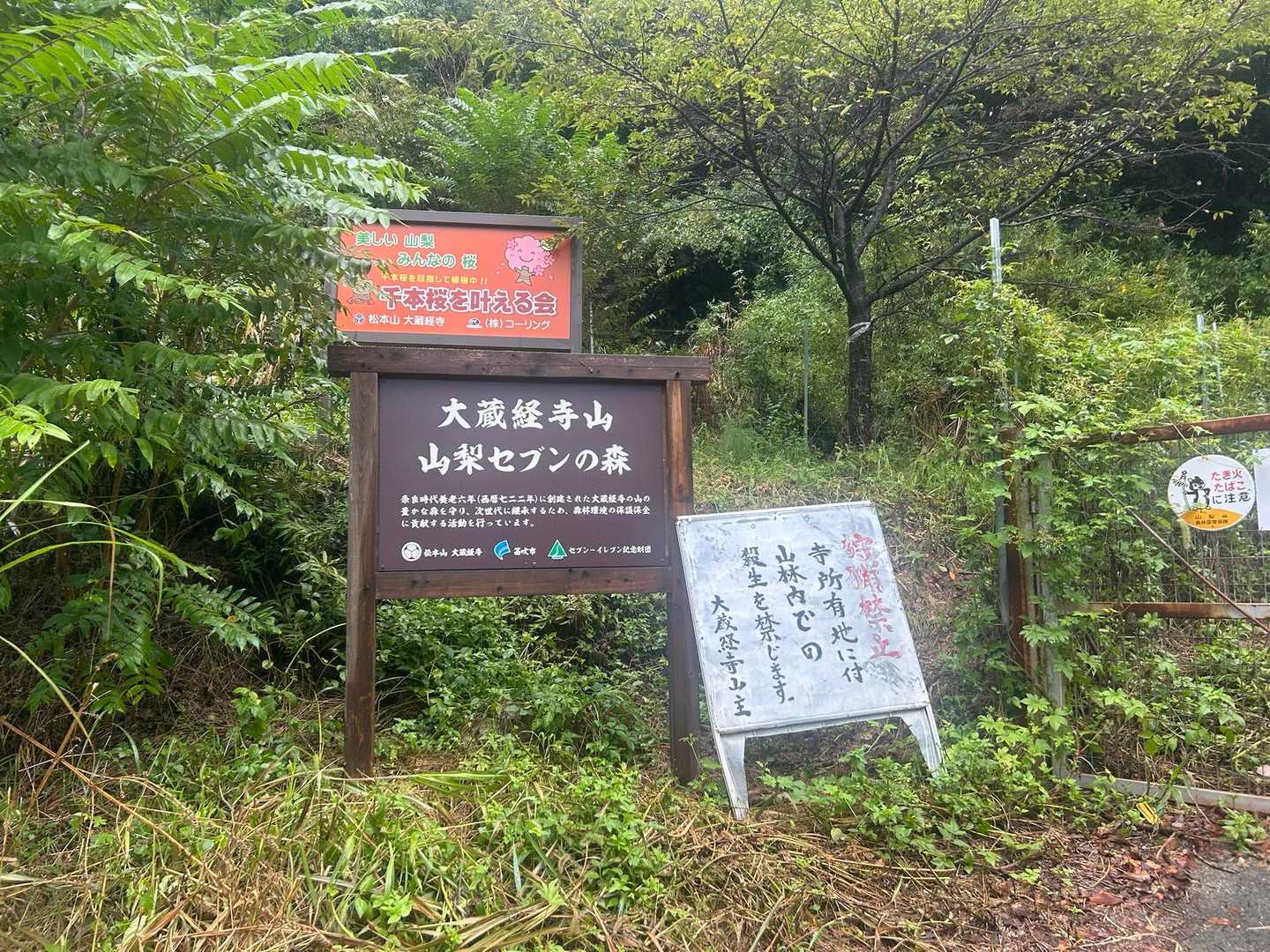 早速、大蔵経寺山から登って行きます。