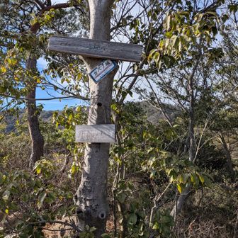 ９座目、カベノ城ゲット👍