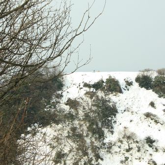 鳥山の先の”展望台”から城ヶ平山への眺め