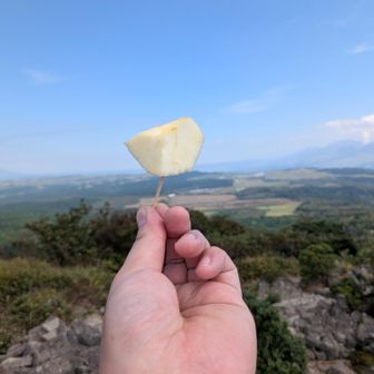 頂きま〜す🍎😋