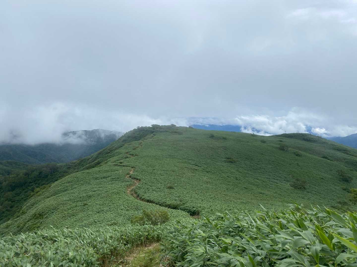 石徹白登山口-銚子ヶ峰-三ノ峰 往復コースの写真