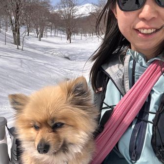 お昼寝の時間たぬ