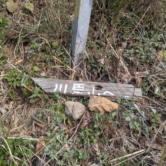 水無林道
川原山 登山口  通過 🎶
