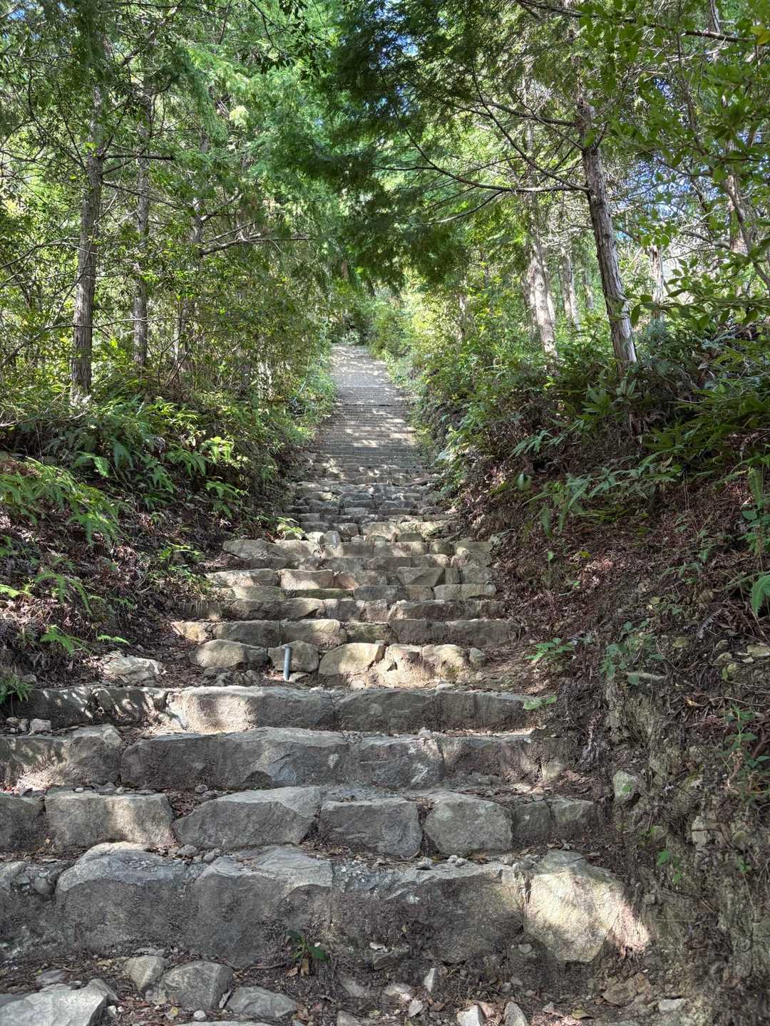ながーち階段😎