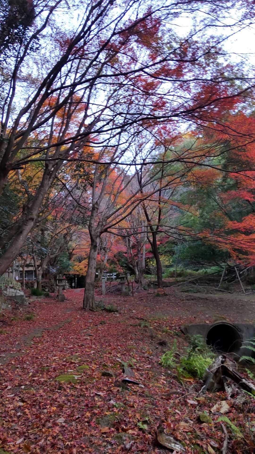仁和寺八十八ヶ所ウォーク入口-成就山-御室八十八個所結願所 周回コースの写真